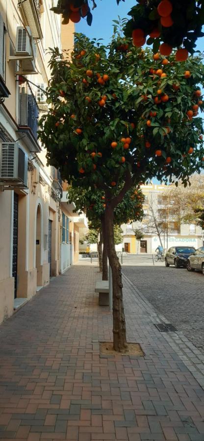 Golondrina Daire Cordoba Dış mekan fotoğraf